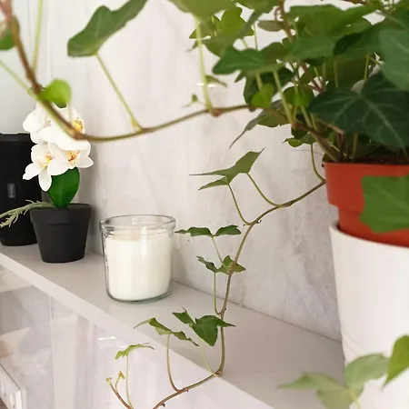 Apartamento Bounty